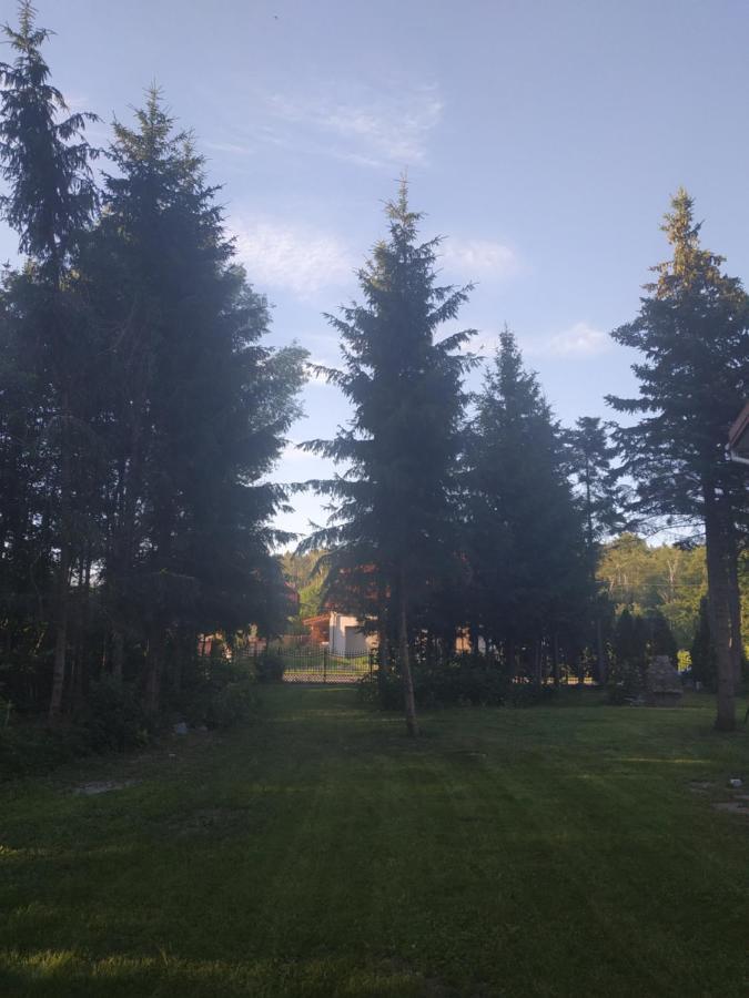 Nostalgia Noclegi Olsztyn  Dış mekan fotoğraf